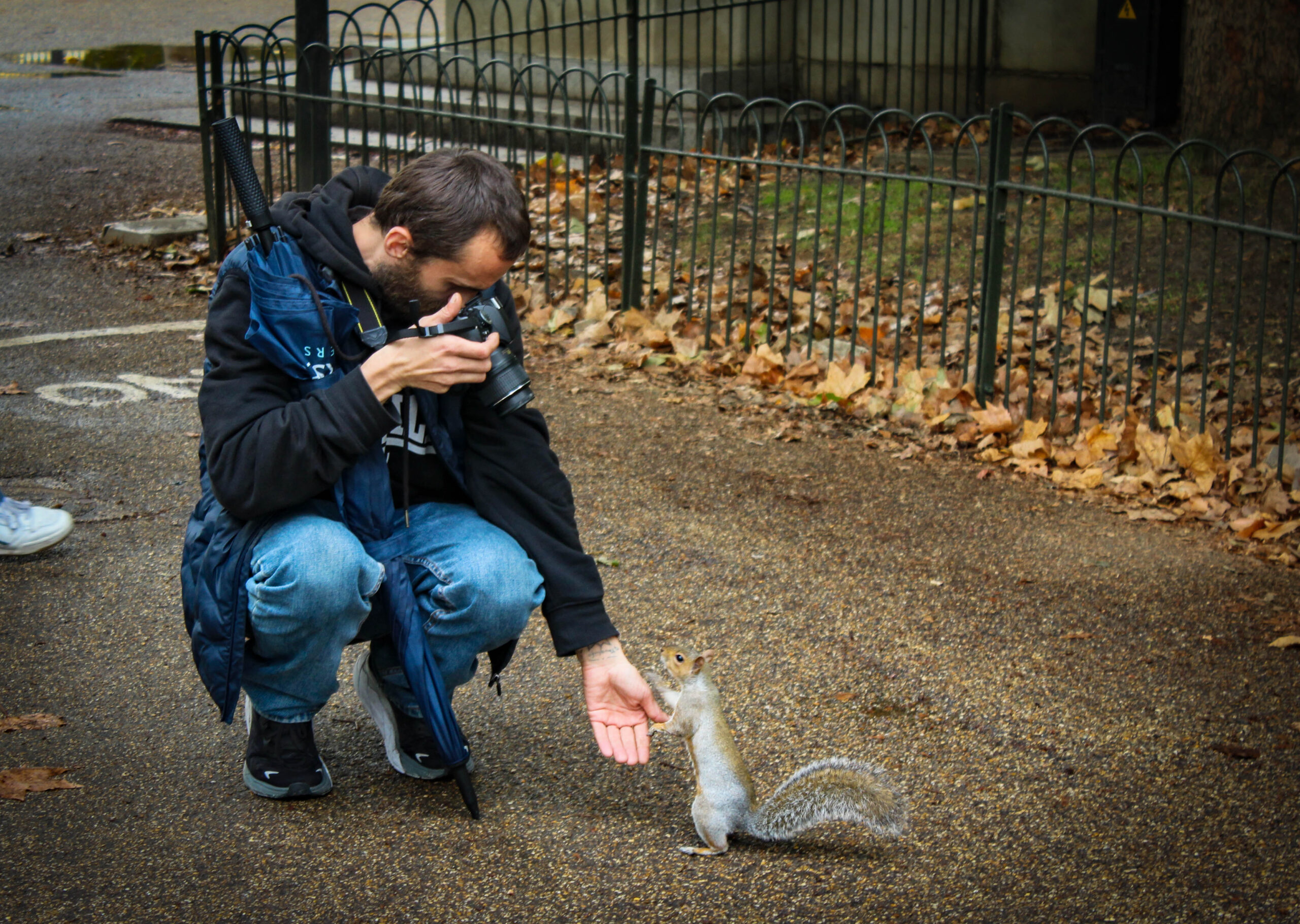 sebastian and squirrel in park 